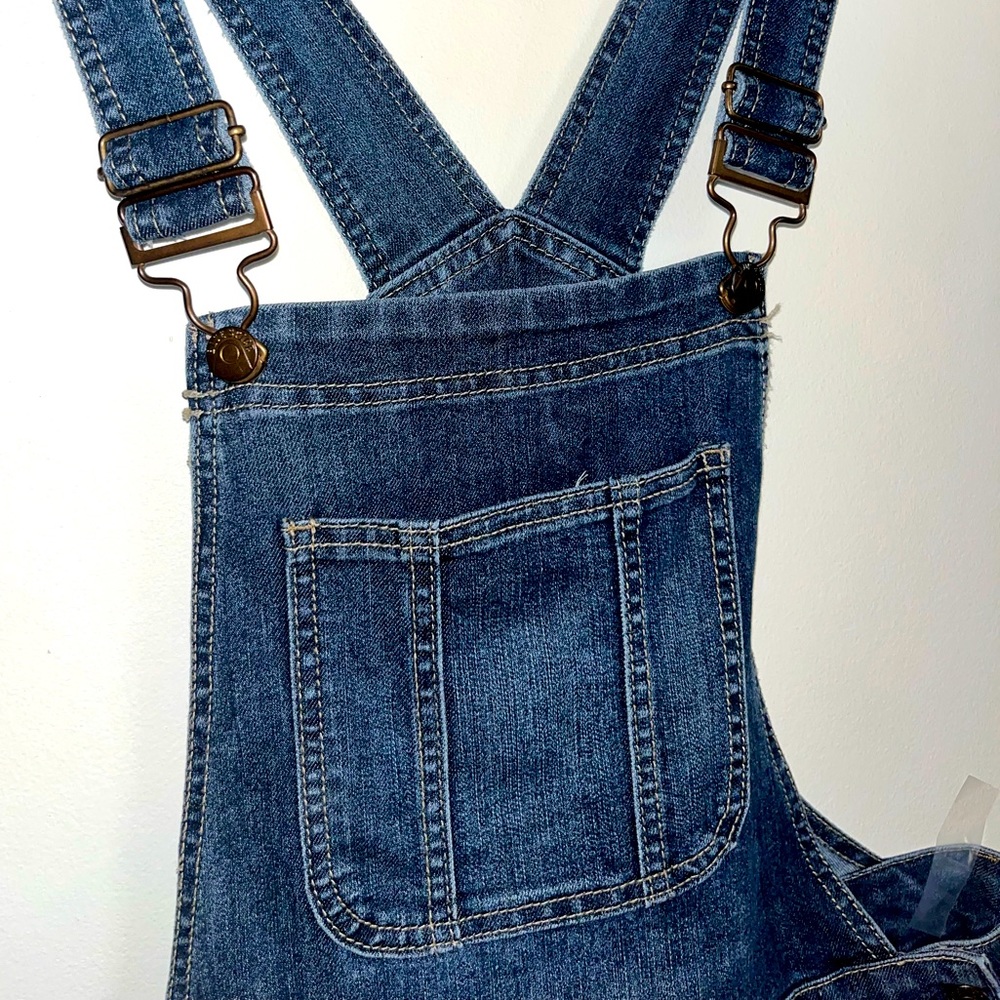 Blue Spice Overalls